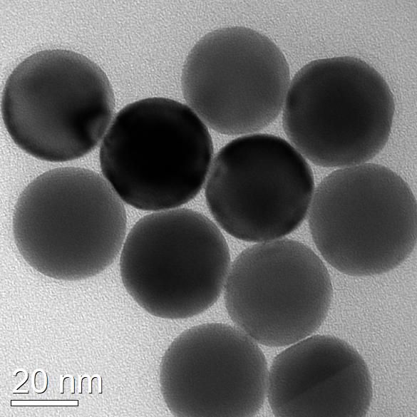 Nanoscientifica Gold Single-Crystal Particles