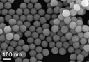 Nanoscientifica Gold Single-Crystal Particles