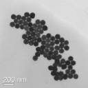 NSS Au Single-Crystal Particles