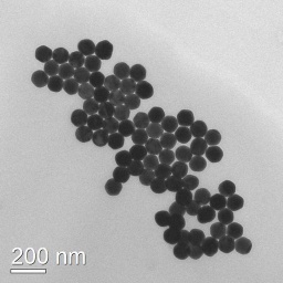 NSS Au Single-Crystal Particles