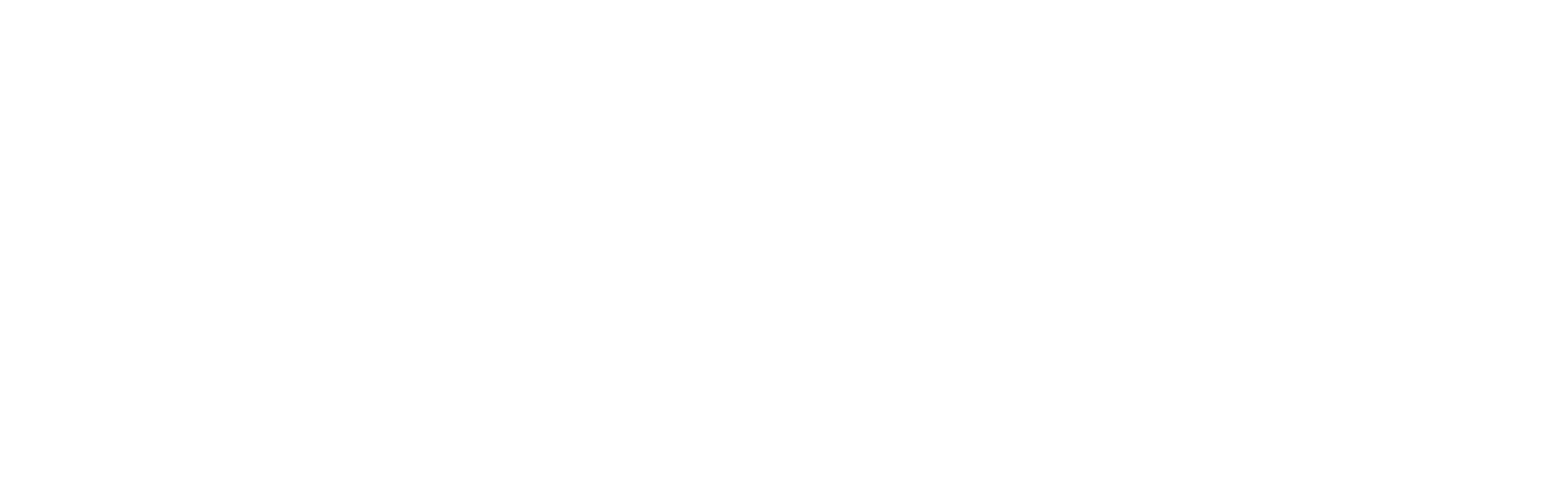 Nanoscientifica Scandinavia AB